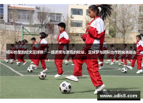 精彩纷呈的短文足球赛：一场速度与激情的较量，足球梦与团队协作的完美融合